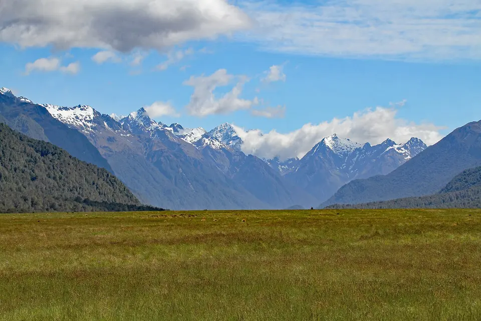 埃格林顿山谷雪山与草甸 / Eglinton Valley Viewpoint