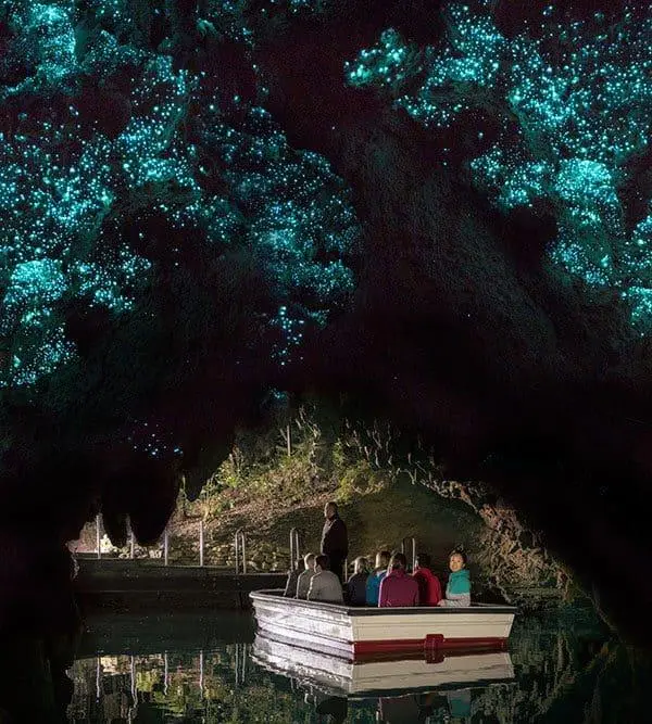 Waitomo Glowworm Caves 参考照片