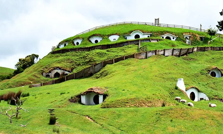 绿龙酒馆与 Hobbiton 团队导览参考照片